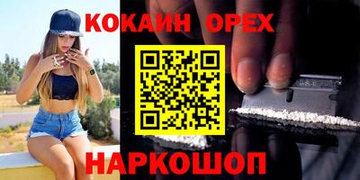 молекула духа Новозыбков