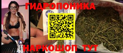 молекула духа Новозыбков