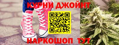молекула духа Новозыбков