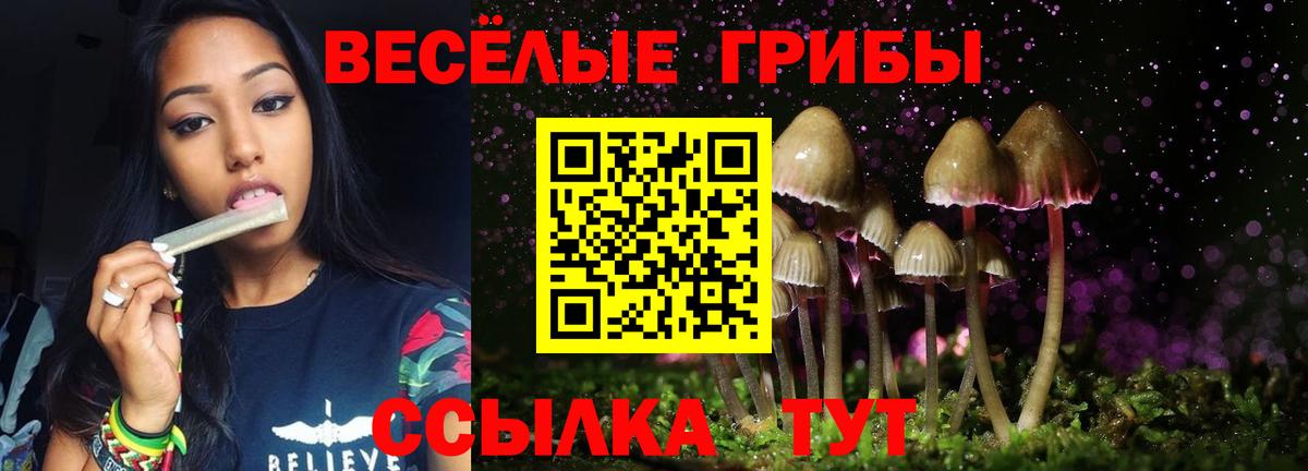 Галлюциногенные грибы Magic Shrooms Будённовск